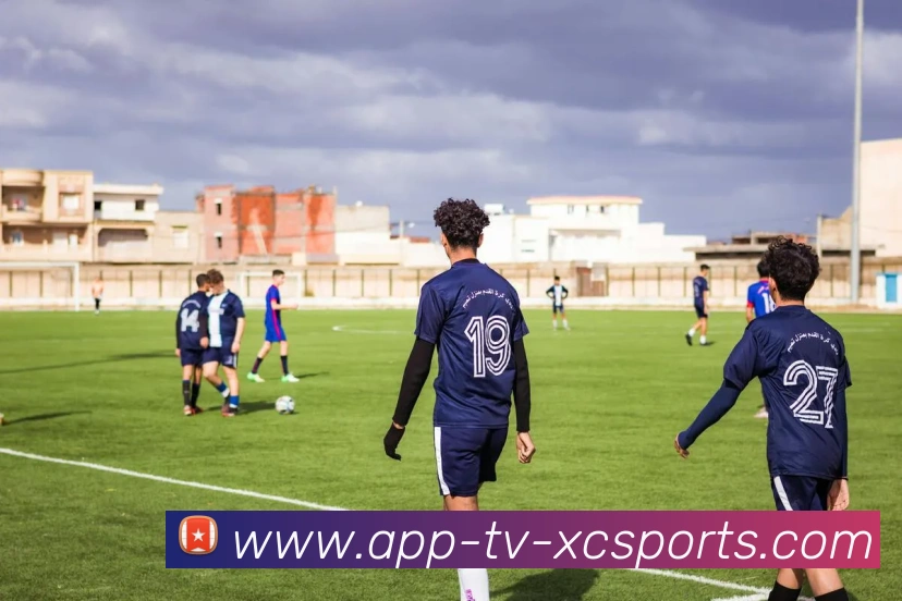 多媒体互动体验