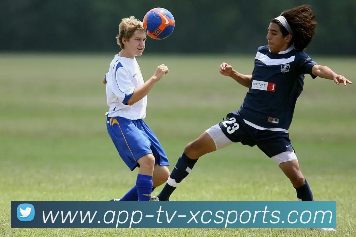 杏彩体育APP 体育赛事宣传图